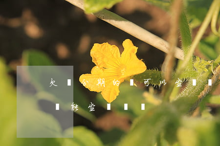 欠來分期的錢可以坐飛機嗎(手機分期付款沒還能坐飛機嗎)