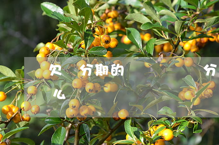 欠來分期的錢沒錢還(來分期倒閉了欠的錢怎么還)