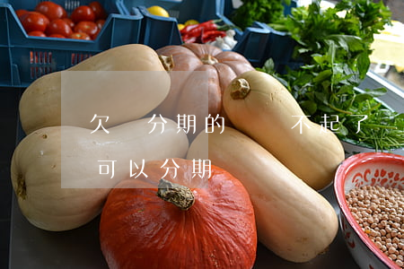 欠來分期的錢還不起了該怎么辦(欠錢還不起可以分期還嗎)