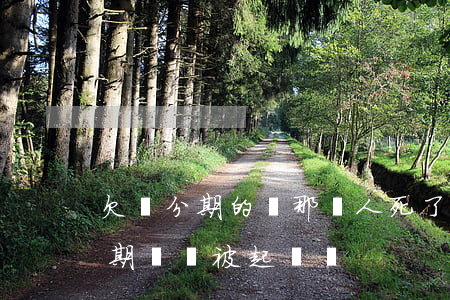 欠來分期的錢那個人死了該怎么辦-欠來分期錢會被起訴嗎