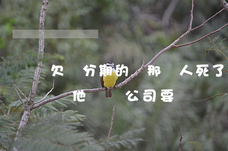 欠來分期的錢那個人死了該怎么辦(欠分期了錢他會來公司要嗎)