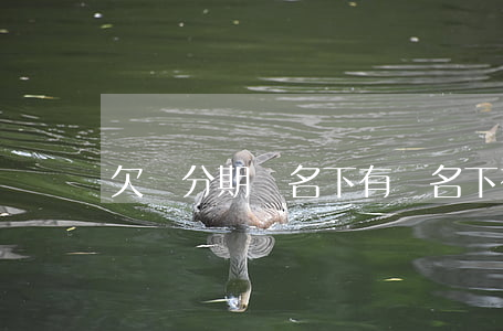 欠來分期錢名下有車(名下有車分期還能貸款嗎)