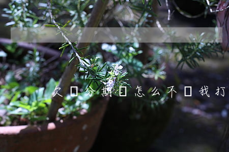 欠來分期錢怎么不給我打電話了-