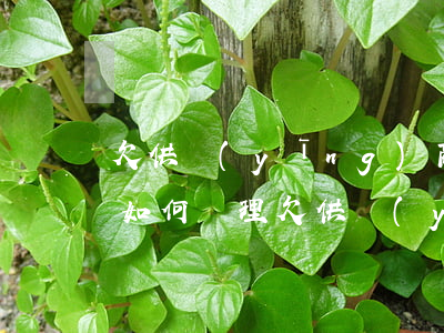 欠供應(yīng)商貨款還不起了怎么辦(如何處理欠供應(yīng)商欠款問(wèn)題)
