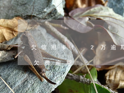 欠信用卡1.2万逾期半年（信用卡1元小额欠费逾期）