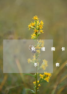 欠信用卡10000怎么辦 欠信用卡1萬元不還有什么后果