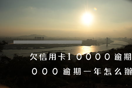 欠信用卡10000逾期一年(欠信用卡10000逾期一年怎么辦)