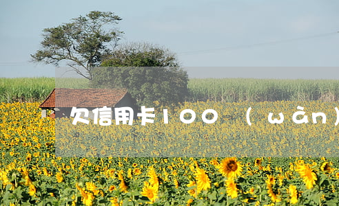 欠信用卡100萬(wàn)判刑