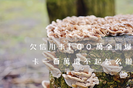欠信用卡100萬全面爆發(fā) 欠信用卡一百萬還不起怎么辦