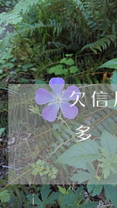 欠信用卡100萬怎么辦（信用卡欠了100多萬）