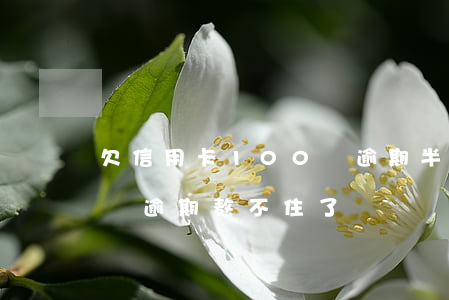 欠信用卡100萬逾期半年(欠信用卡100萬逾期熬不住了)