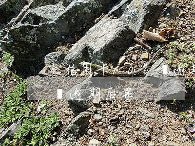 欠信用卡100萬逾期后果(欠信用卡100萬逾期后果)