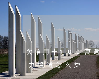 欠信用卡100萬遺期(欠信用卡100萬無力償還怎么辦)