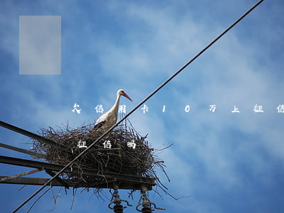 欠信用卡10万上征信吗(欠信用卡10万上征信吗)
