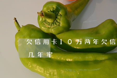 欠信用卡10万两年(欠信用卡10万元要做几年牢)