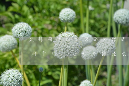 欠信用卡10万无力偿还会被刑拘吗-欠信用卡10万无力偿还会被刑拘吗知乎