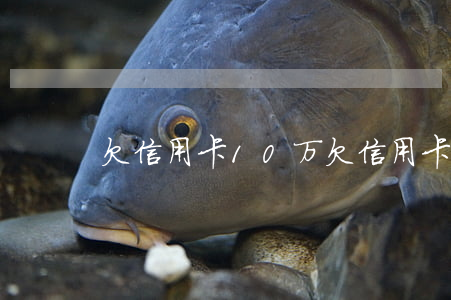 欠信用卡10万(欠信用卡10万如何自救)