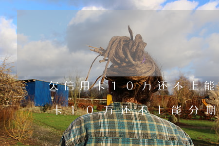 欠信用卡10万还不上能分期还吗-欠信用卡10万还不上能分期还吗怎么办