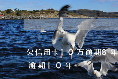 欠信用卡10万逾期8年(信用卡欠2000逾期10年)