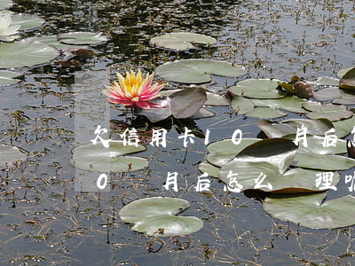 欠信用卡10個月后怎么處理-欠信用卡10個月后怎么處理呢