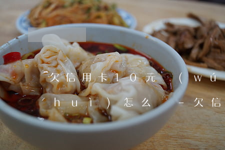 欠信用卡10元無(wú)力償還最后會(huì)怎么樣-欠信用卡10元無(wú)力償還最后會(huì)怎么樣呢
