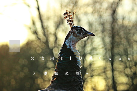 欠信用卡10萬(wàn)2年沒(méi)還怎么辦-