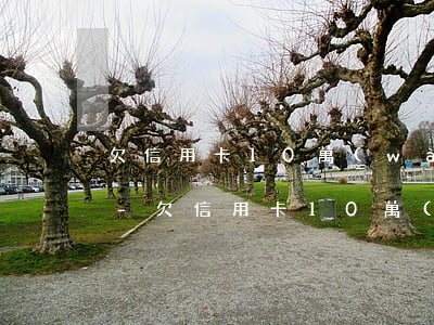 欠信用卡10萬(wàn)分期也還不上了-欠信用卡10萬(wàn)元還不了怎么辦