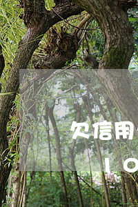 欠信用卡10萬(wàn)網(wǎng)貸10萬(wàn)(欠網(wǎng)貸和信用卡10萬(wàn)怎樣翻身)