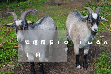 欠信用卡10萬(wàn)逾期三個(gè)月
