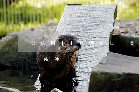 欠信用卡10萬3年沒還了（欠信用卡十多萬滾兩年）
