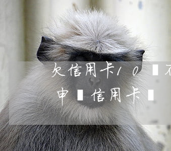 欠信用卡10萬不還怎么樣(欠了10萬還能申請信用卡嗎)