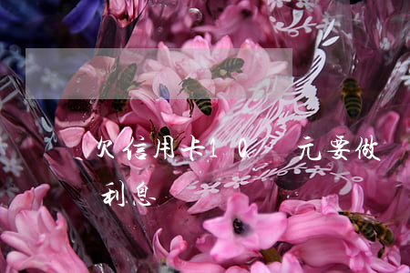 欠信用卡10萬元要做幾年牢（信用卡欠十萬 利息）
