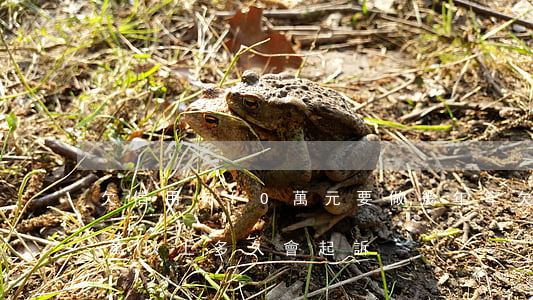 欠信用卡10萬元要做幾年牢(欠信用卡10萬以上多久會起訴)