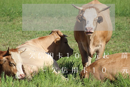 欠信用卡10萬元起訴前會(huì)拘留嗎-欠信用卡10萬元起訴前會(huì)拘留嗎知乎