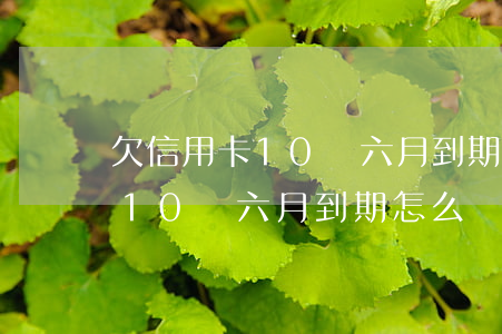 欠信用卡10萬六月到期怎么辦-欠信用卡10萬六月到期怎么辦理