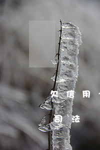 欠信用卡10萬凍結(jié)(欠信用卡被司法凍結(jié))
