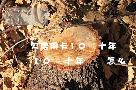 欠信用卡10萬十年沒還怎么辦-欠信用卡10萬十年沒還怎么辦呢