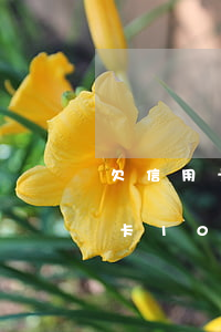 欠信用卡10萬去外地打工怎么辦-欠信用卡10萬去外地打工怎么辦理