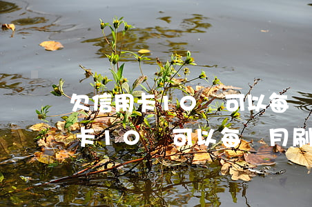 欠信用卡10萬可以每個月刷卡嗎-欠信用卡10萬可以每個月刷卡嗎知乎