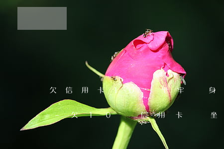欠信用卡10萬坐牢親身經(jīng)歷-欠10萬信用卡會坐牢嗎