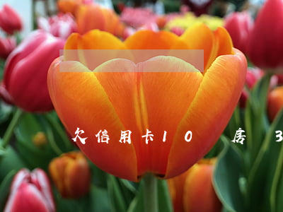欠信用卡10萬房貸30萬(欠信用卡三十多萬)