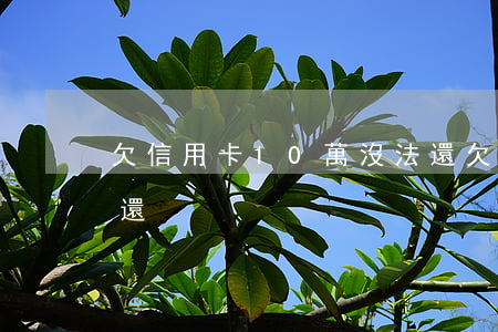 欠信用卡10萬沒法還 欠信用卡10萬沒法還