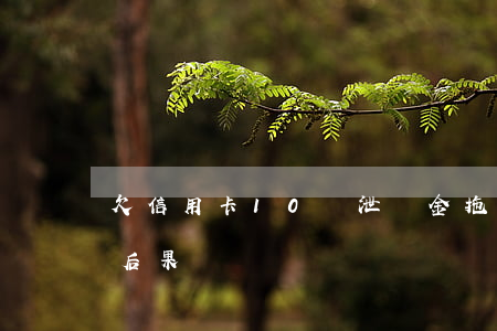 欠信用卡10萬泄納金(拖欠信用卡10萬的后果)