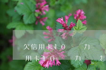欠信用卡10萬無力償還怎么辦好-欠了信用卡10萬無力償還怎么辦