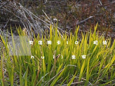 欠信用卡10萬犯法嗎 欠信用卡10萬會(huì)坐牢嗎