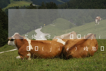 欠信用卡10萬結(jié)婚了(欠信用卡錢結(jié)婚能瞞住嗎)