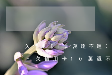 欠信用卡10萬還不進(jìn)去怎么辦-欠信用卡10萬還不進(jìn)去怎么辦呢