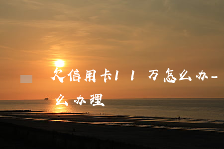 欠信用卡11万怎么办-欠信用卡11万怎么办理