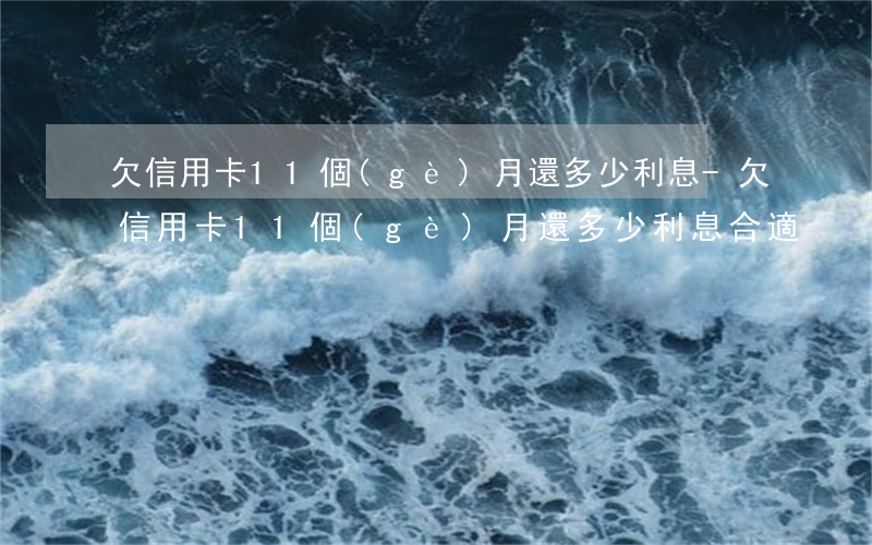 欠信用卡11個(gè)月還多少利息-欠信用卡11個(gè)月還多少利息合適
