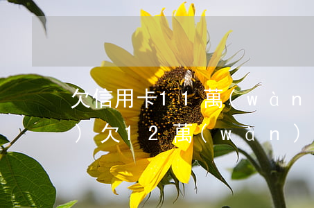 欠信用卡11萬(wàn)貸4萬(wàn)(欠12萬(wàn)信用卡)